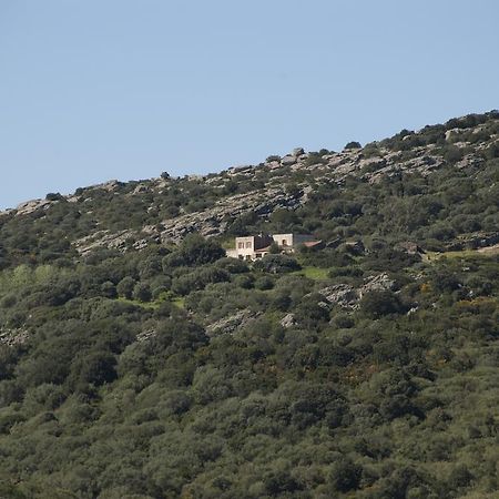 Campi Elisi B&B Sassari Exterior photo