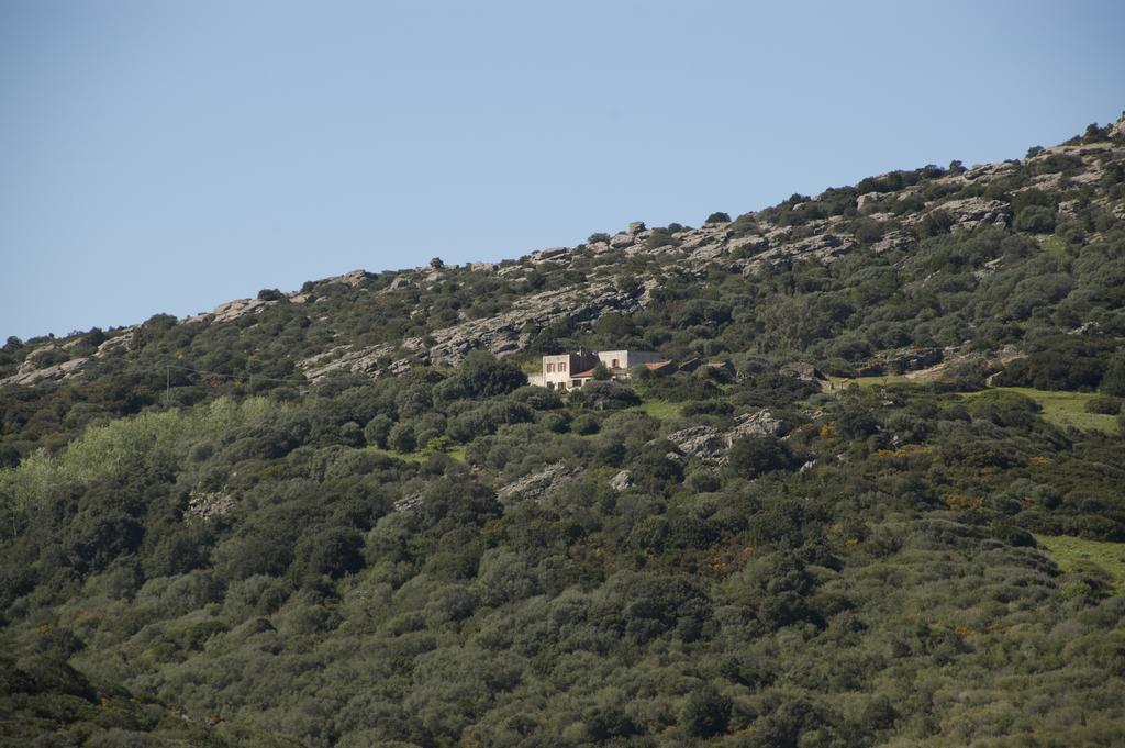 Campi Elisi B&B Sassari Exterior photo